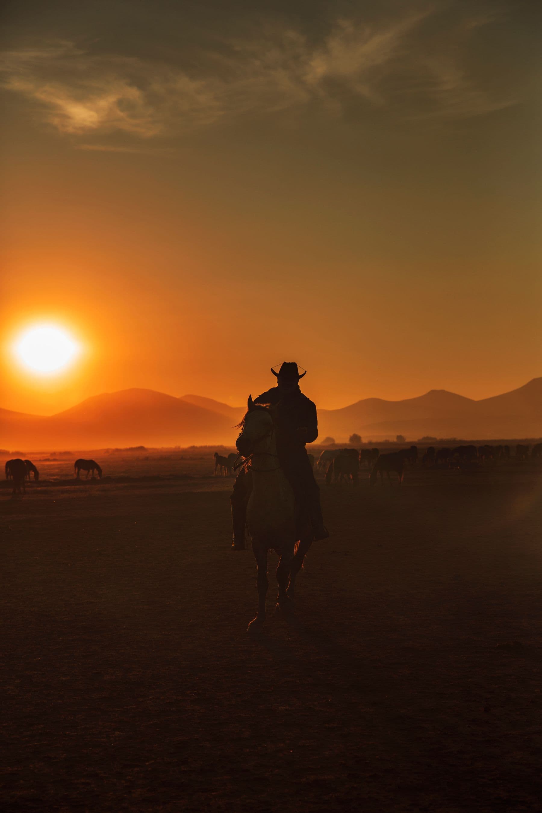 Buffalo Team Roping Jackpot: ranch rodeo riders working cattle in the arena.